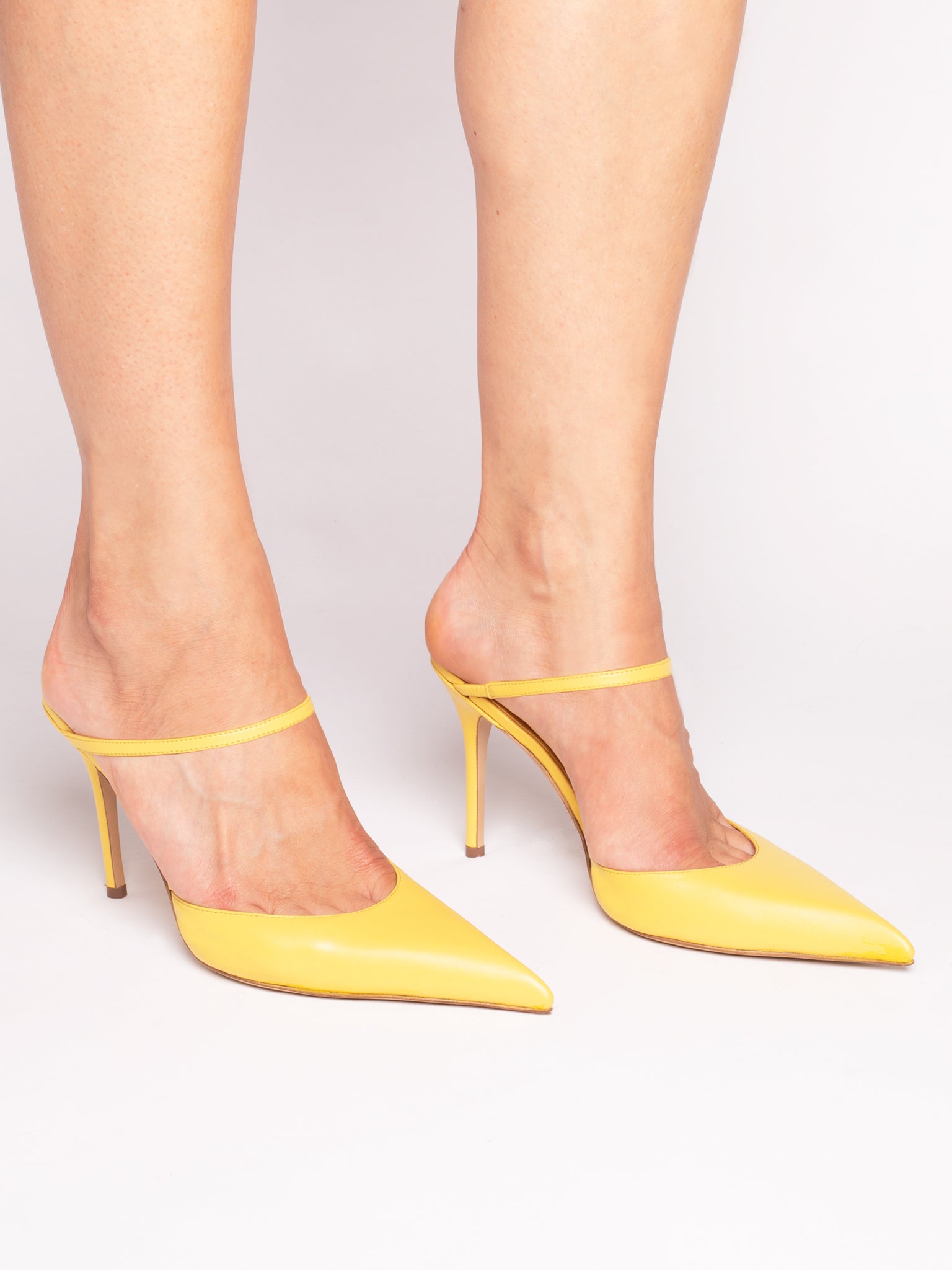 THE POINT YELLOW
