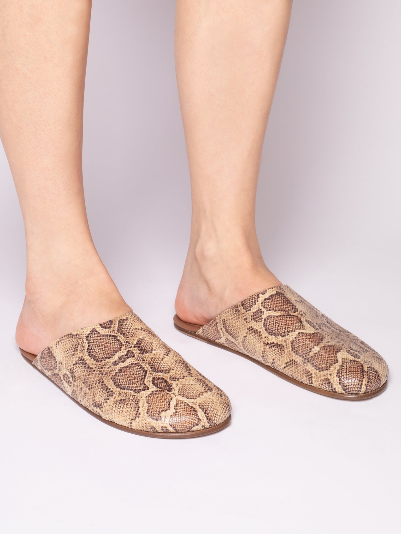 JUNE SYNTHETIC PYTHON