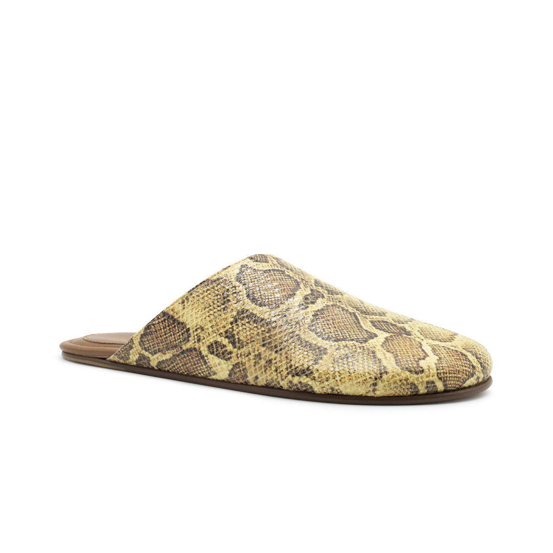 JUNE SYNTHETIC PYTHON