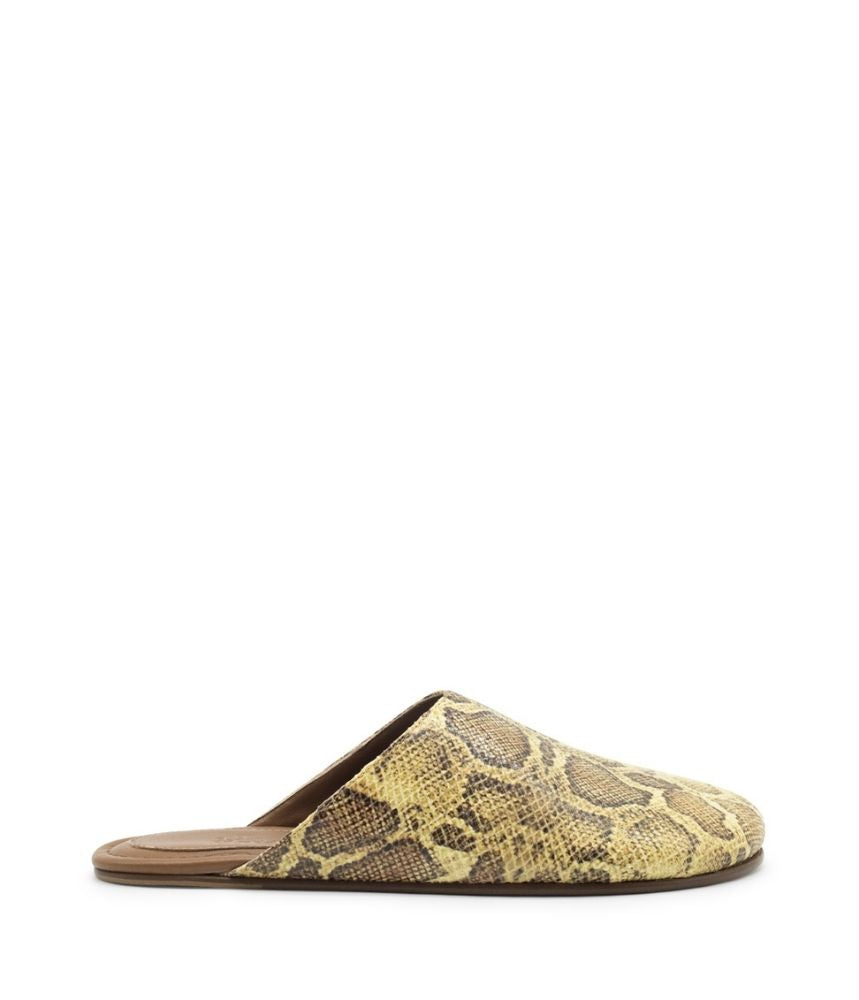 JUNE SYNTHETIC IN PYTHON